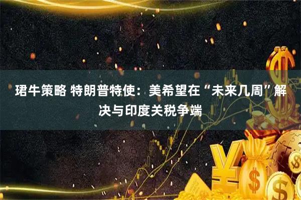 珺牛策略 特朗普特使：美希望在“未来几周”解决与印度关税争端