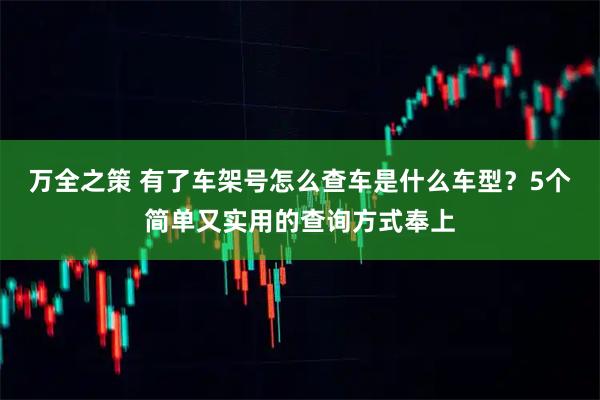 万全之策 有了车架号怎么查车是什么车型？5个简单又实用的查询方式奉上