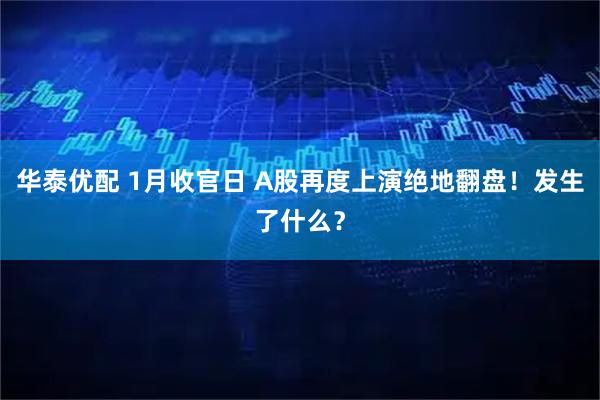 华泰优配 1月收官日 A股再度上演绝地翻盘！发生了什么？