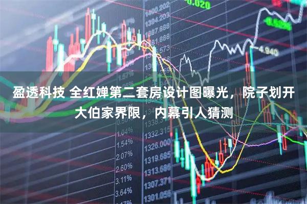 盈透科技 全红婵第二套房设计图曝光，院子划开大伯家界限，内幕引人猜测