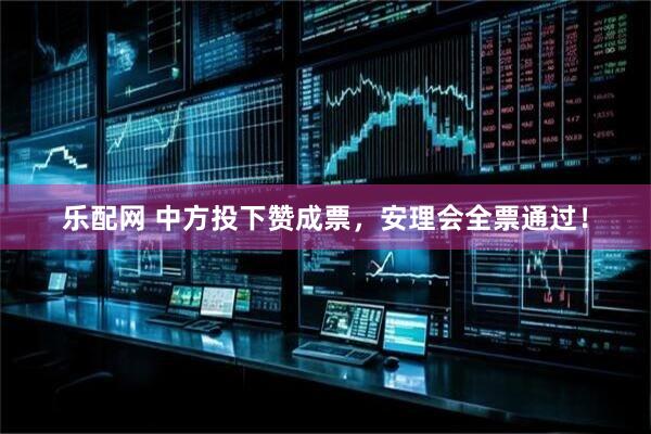 乐配网 中方投下赞成票，安理会全票通过！