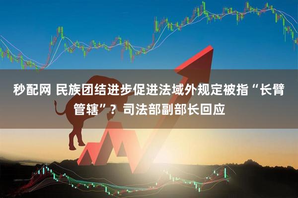 秒配网 民族团结进步促进法域外规定被指“长臂管辖”？司法部副部长回应